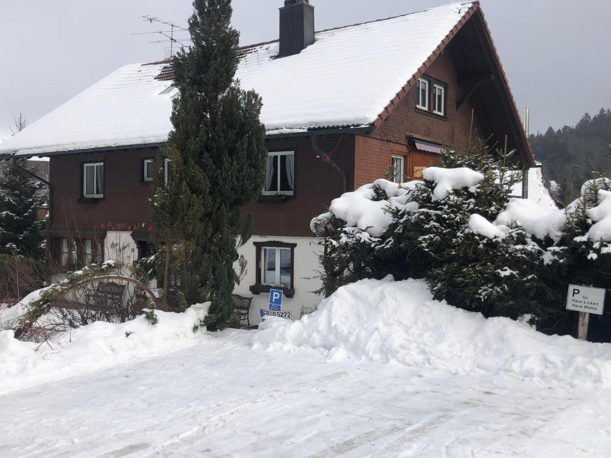 Gaestehaus Lickert Familie Dreher Hinterzarten Exterior photo
